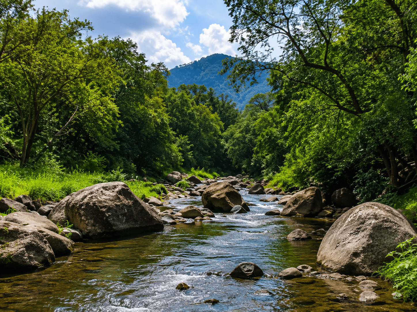Ulhas River